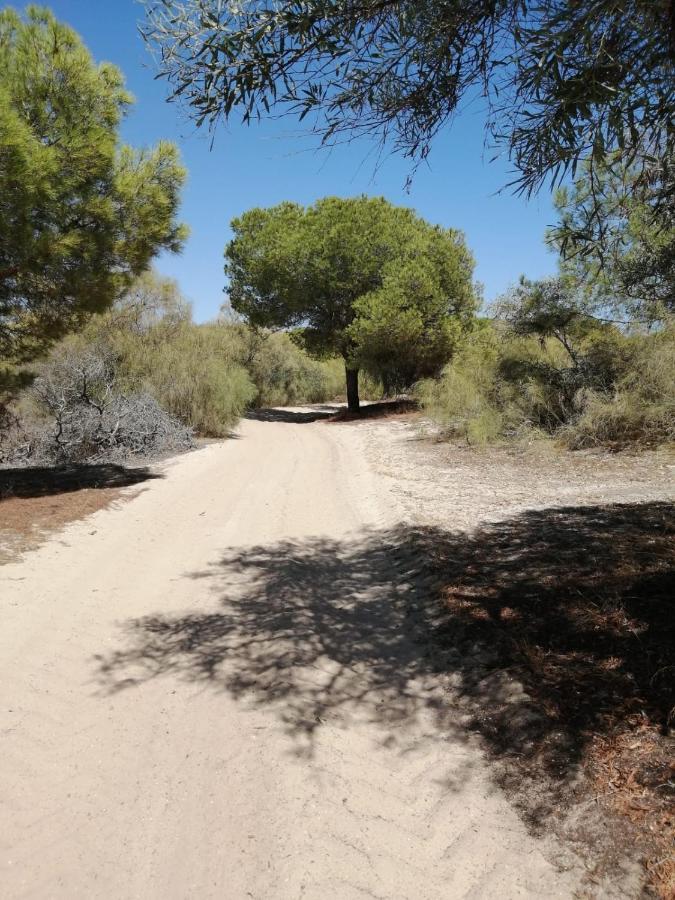 Tavira Sweet Home ภายนอก รูปภาพ